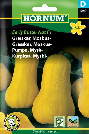 Græskar, Moskusgræskar, Tiana F1