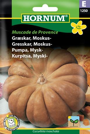 Græskar, Moskus-, Muscade de Provence