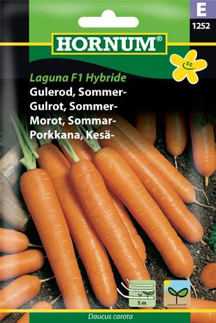 Gulerod, Sommergulerod, Laguna F1, Såbån