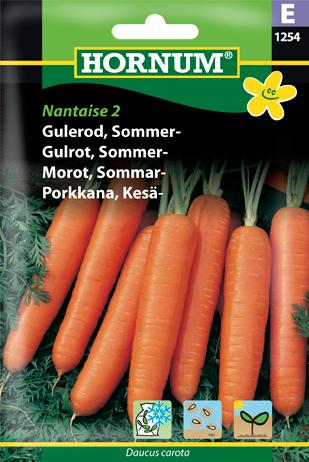 Gulerod, Sommer-, Nantaise 2