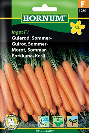 Gulerod, Sommergulerod, Ingot F1