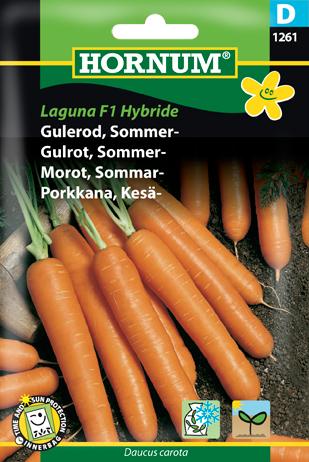 Gulerod, Sommergulerod, Laguna F1