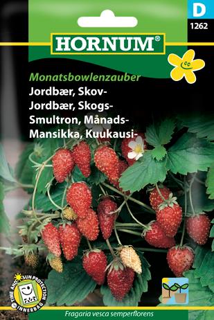 Jordbær, Skovjordbær, Monatsbowlenzauber