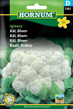 Kål, Blomkål, Erfurt