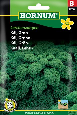 Kål, Grønkål, Halbhoher grüner krauser