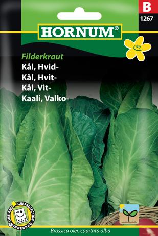 Kål, Spidskål, Filderkraut