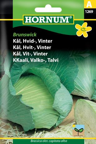Kål, Hvidkål, Vinterkål, Golden Acre