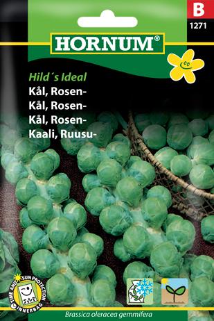 Kål, Rosenkål, Groninger