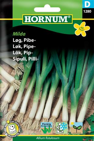 Løg, Pibeløg, Freddy