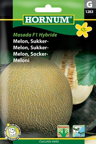 Melon, Sukkermelon, Charentais