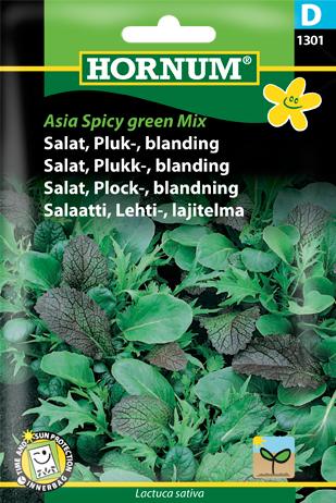 Salat, Pluksalat, blanding, Asia Spicy G