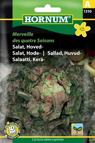 Salat, Hoved-, Merveille des quatre Sais