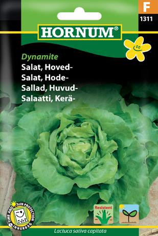 Salat, Hovedsalat, Dynamite