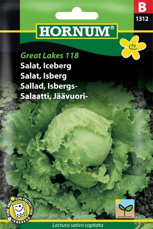 Salat, Icebergsalat, Great Lakes 118