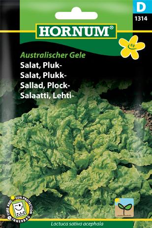 Salat, Pluk-, Australischer Gele