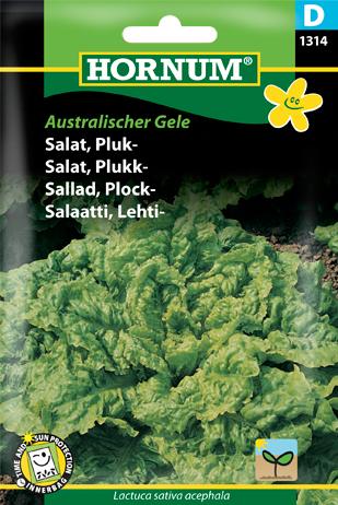 Salat, Pluksalat, Australischer Gele