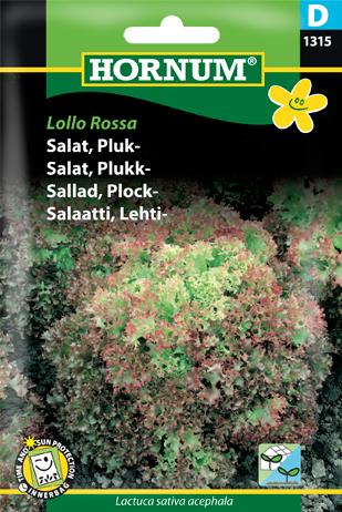 Salat, Pluk-, Lollo Rossa