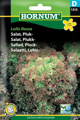 Salat, Pluksalat, Lollo Rossa