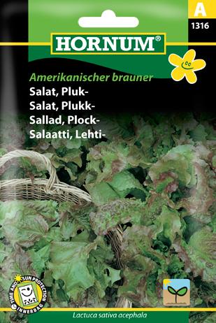 Salat, Pluksalat, Amerikanischer brauner