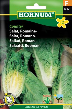 Salat, Romainesalat, Xanadu