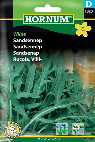 Sandsennep “Vild rucola”, Wilde Rauke