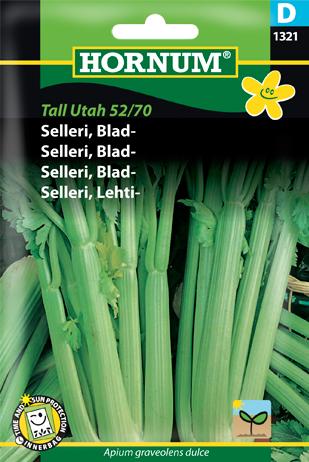 Selleri, Bladseleri, Tall Utah 52/70