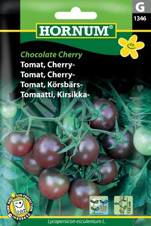 Tomat, Cherry-, Black Cherry