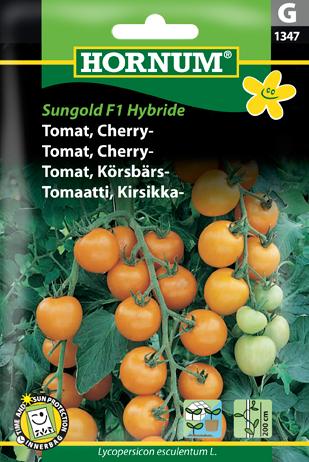 Tomat, Cherrytomat, Sungold F1 Hybride