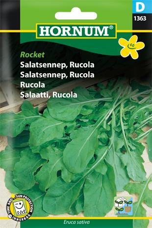 Salatsennep, Rucola, Rocket