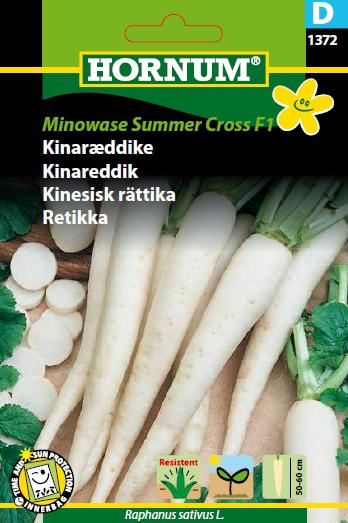 Kinaræddike, Minowase S.C. Nr. 3