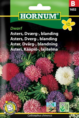 Asters, Dværg-, blanding, Dwarf