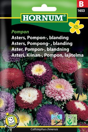 Asters, Pomponasters, blanding, Pompon