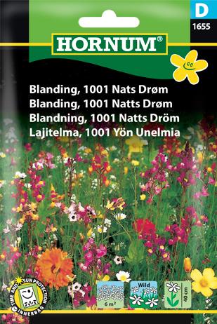Blanding, 1001 Nats Drøm
