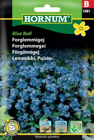 Forglemmigej, Blue Ball