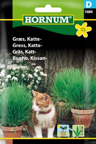 Græs, Katte-