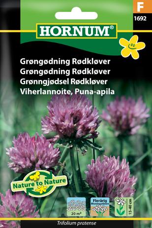 Grøngødning Rødkløver