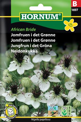 Jomfruen i det Grønne, African Bride