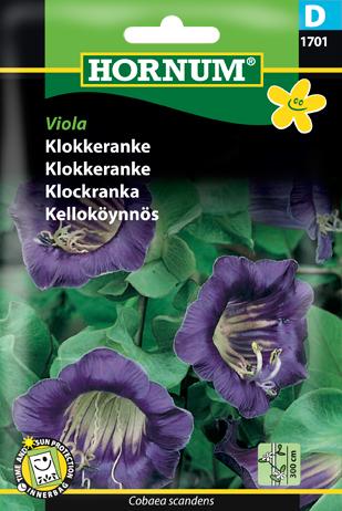 Klokkeranke, Viola