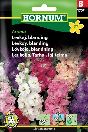 Levkøj, blanding, Aroma