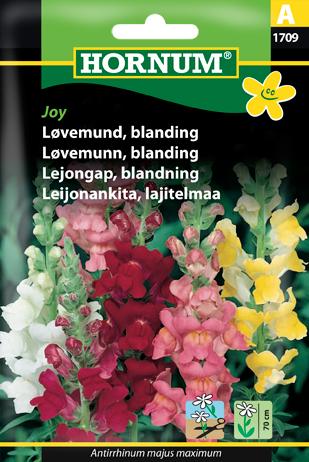 Løvemund, blanding, Joy