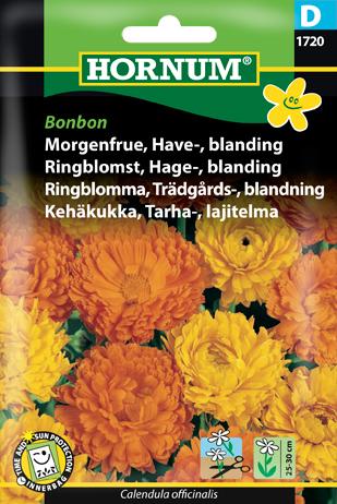 Morgenfrue, Have-, blanding, Bonbon