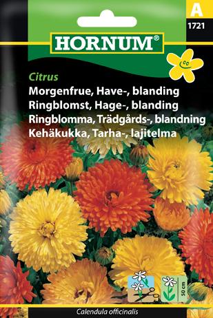 Morgenfrue, Have-, blanding, Citrus