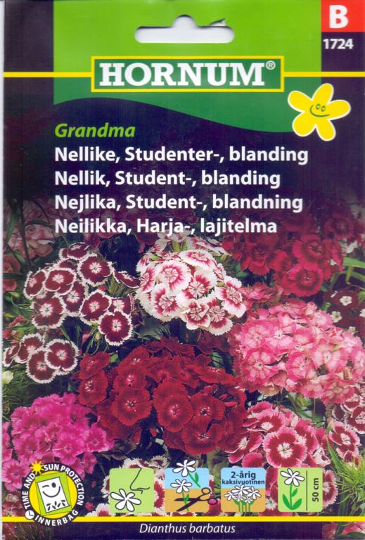Nellike, Studenternellike, blanding, Gra