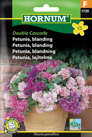 Petunia, blanding, Double Cascade