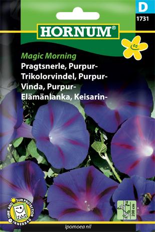 Pragtsnerle, Purpurpragtsnerle, Magic Mo
