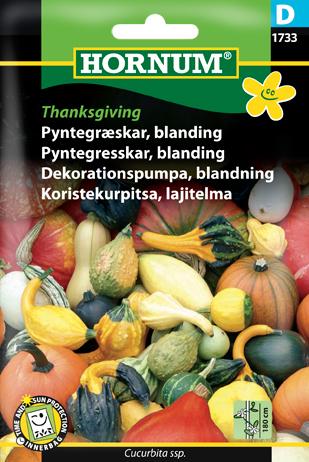 Pyntegræskar, blanding, Thanksgiving