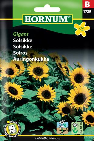 Solsikke, Gigant