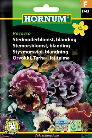 Stedmoderblomst, blanding, Rococco