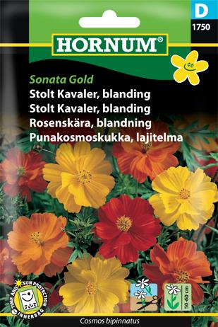 Stolt Kavaler, blanding, Sonata Gold