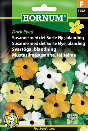 Susanne med det Sorte Øje, blanding, Dar